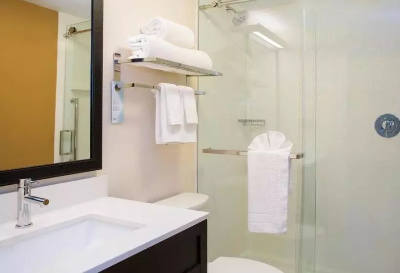スタンダードルーム, Fairfield By Marriott Inn & Suites Raynham Middleborough/plymouth