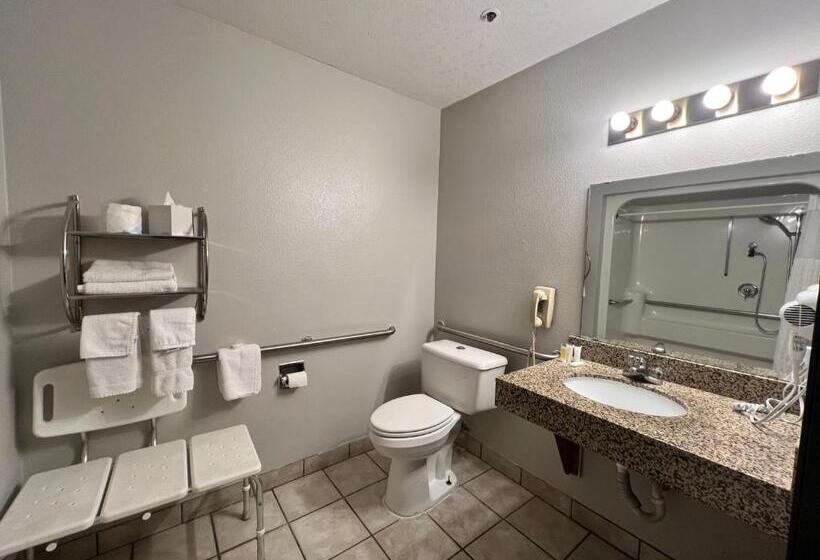 غرفة قياسية لذوى الاحتياجات الخاصة, Antelope Inn & Suites