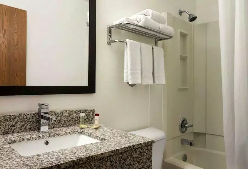 اتاق استاندارد با تخت بزرگ, Super 8 By Wyndham Cedar Rapids