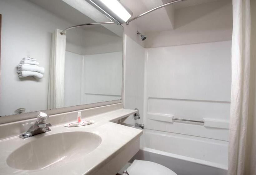 غرفة قياسية سرير كينج, Super 8 Gainesville I 75 Hospital University Area