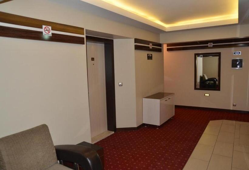 اتاق اکونومی, Napa