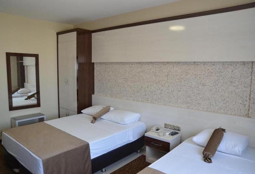 اتاق استاندارد یک نفره, Napa