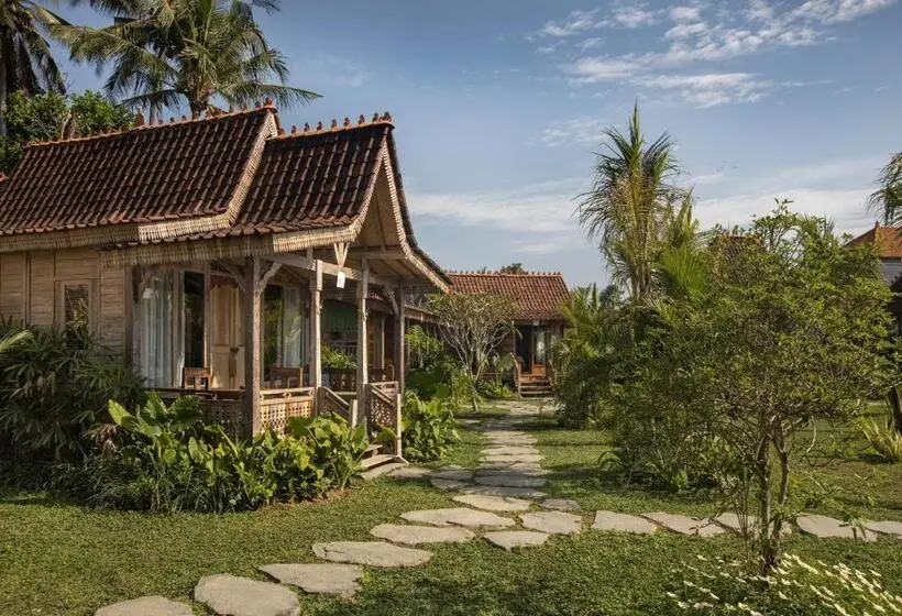 スーペリアールーム, Green Space Villa