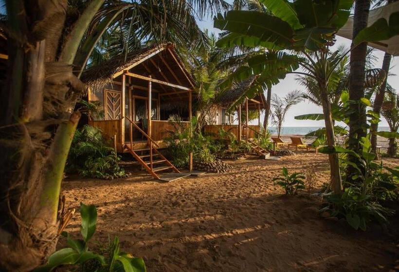 بنجلو قياسى مطل على البحر, Goa Cottages Agonda