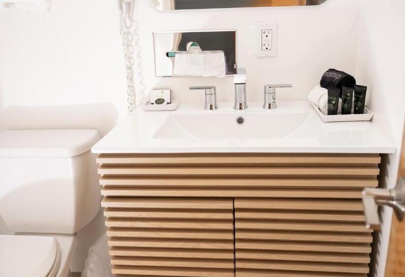 غرفة قياسية سرير ملكى, Endless Dunes, A Modern Motel