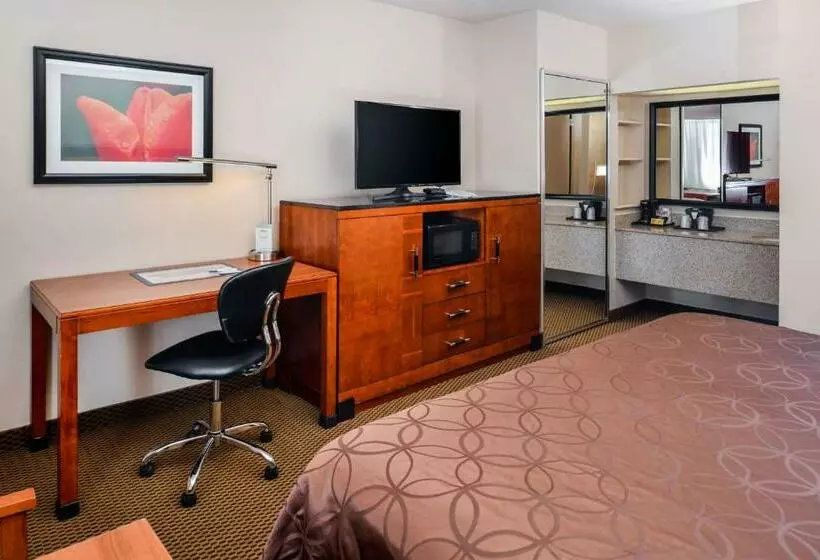 اتاق استاندارد با تخت بزرگ, Best Western Executive Inn