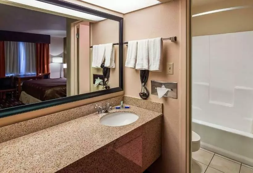 اتاق استاندارد با تخت بزرگ, Best Western Executive Inn