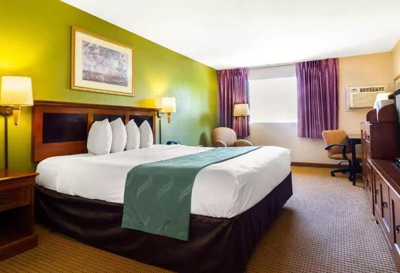 اتاق استاندارد با تخت بزرگ, Rodeway Inn