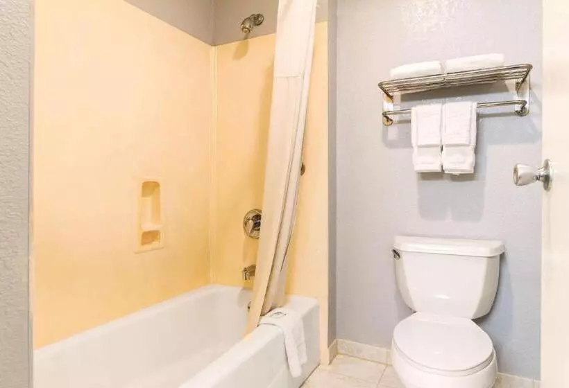 اتاق استاندارد با تخت بزرگ, Rodeway Inn