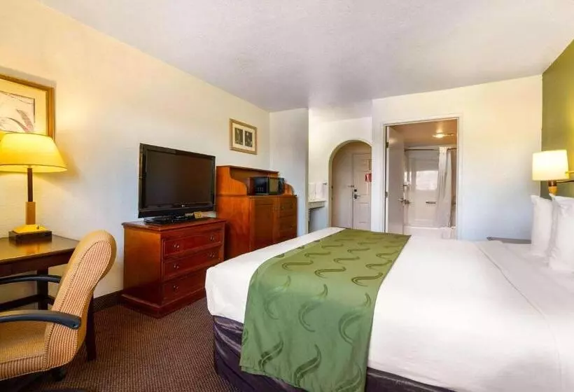 اتاق استاندارد با تخت بزرگ برای معلولان, Rodeway Inn