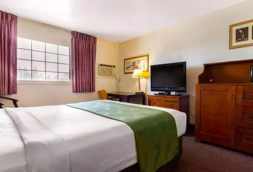 اتاق استاندارد با تخت بزرگ برای معلولان, Rodeway Inn