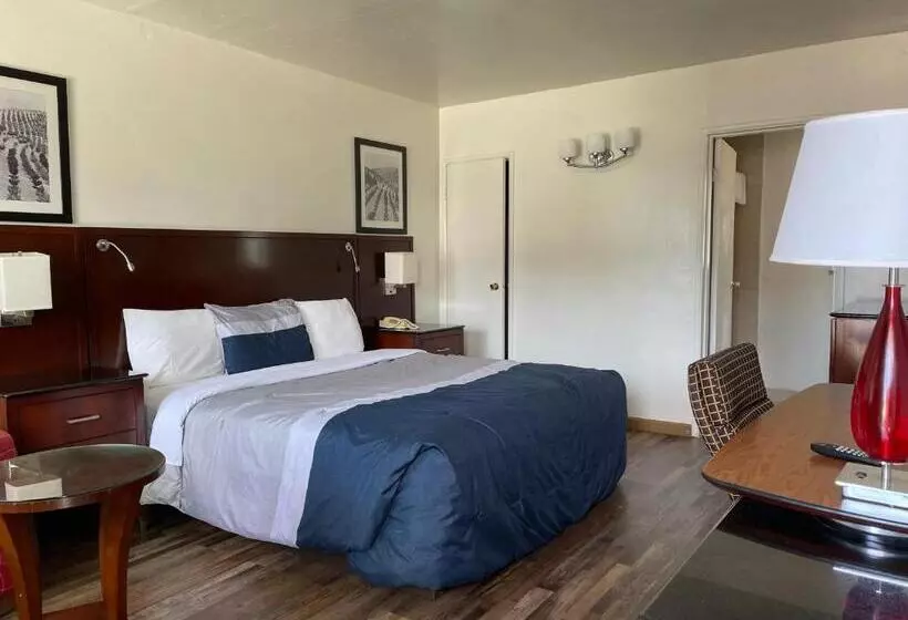 身障者適用キングサイズベッドルーム, Travelers Beach Inn