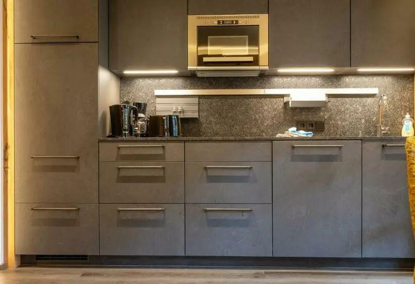 آپارتمان 1 خوابه با بالکن, Apparthotel Thalerhof