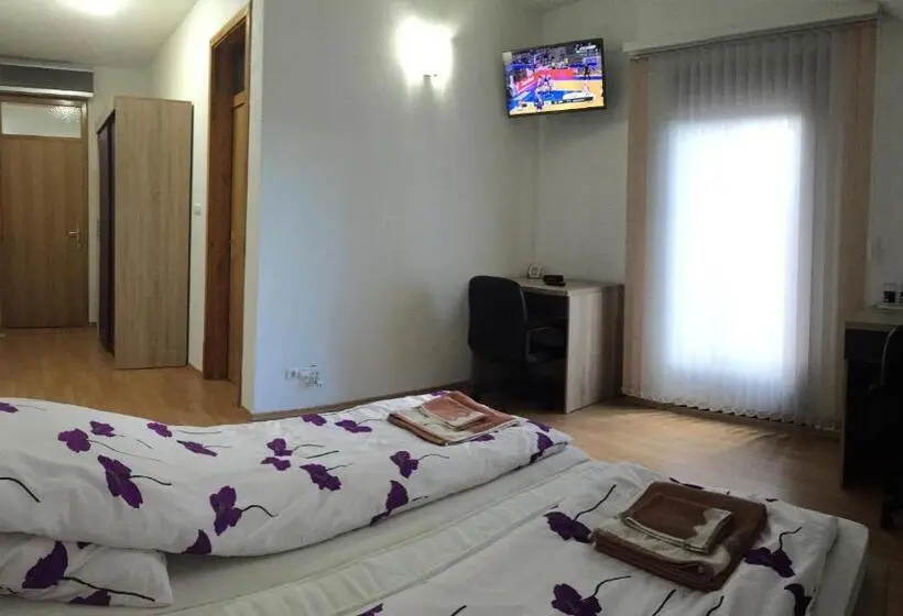 اتاق استاندارد با چشم‌انداز رودخانه, City Bridge Guest House