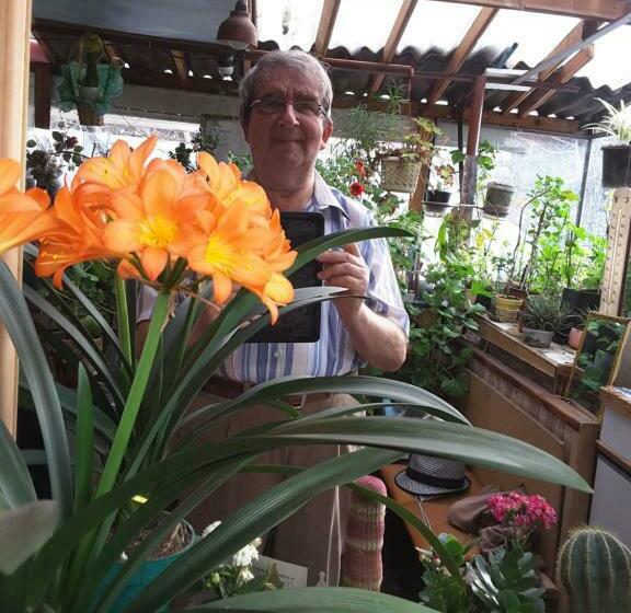 غرفة قياسية, Diana Guesthouse