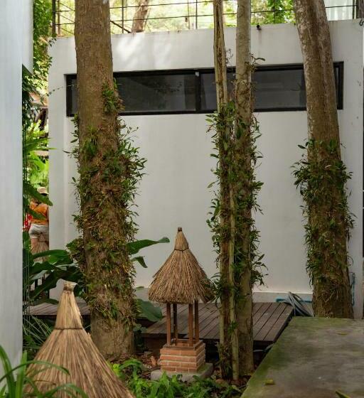 Standard-studio Parveke, Big Tree Boutique