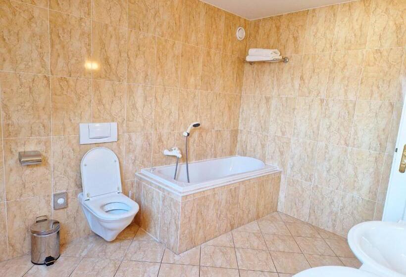 带1个卧室的豪华公寓, Romantik Hotel Eleonora