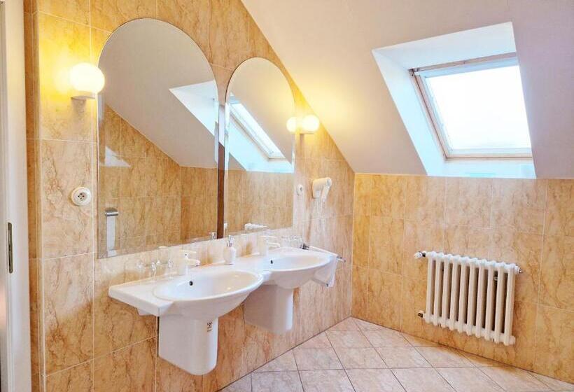 带1个卧室的豪华公寓, Romantik Hotel Eleonora