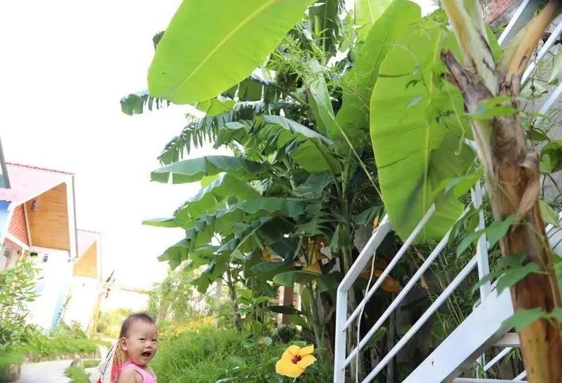 اتاق سوپریور با تخت بزرگ, Phong Nha Friendly Home 2