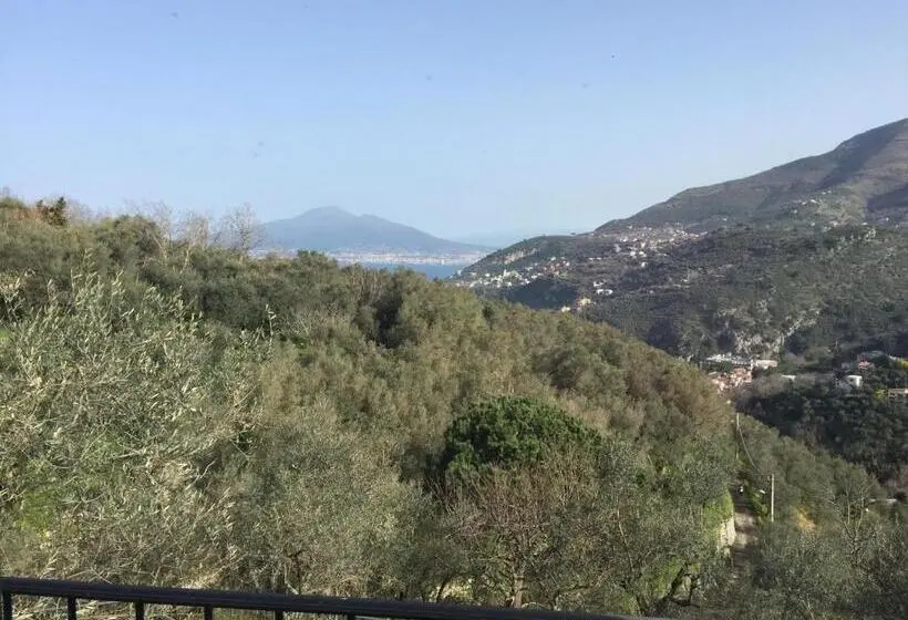 Standard Kolmen Hengen Huone Parveke, Il Casale Del Mirto