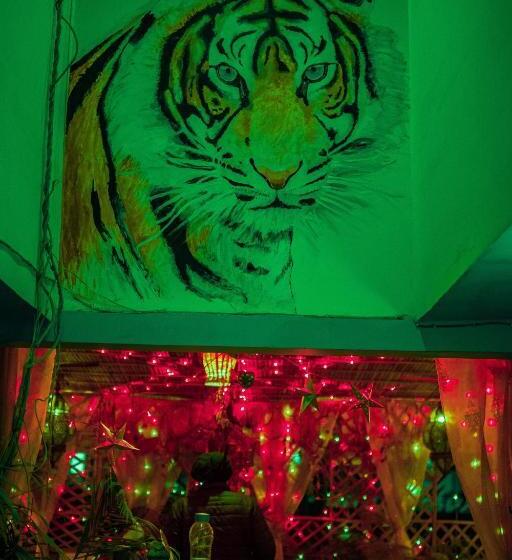 Standard Room Shared Bathroom, Pachamama Hostel