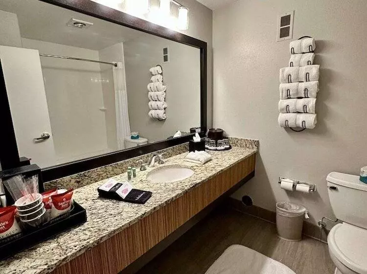 ダブルベッドスタンダードルーム, Best Western Vista Inn