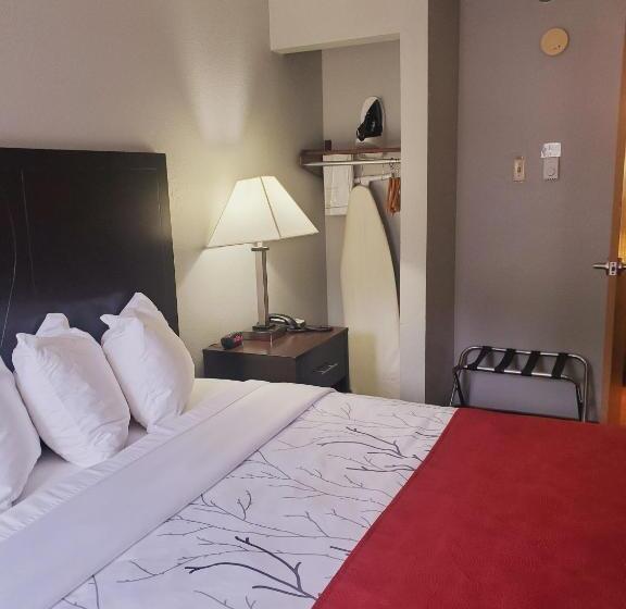 חדר סטנדרט עם מיטת קינג, Blackstone Lodge And Suites