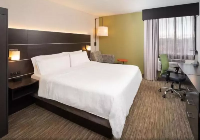 身障者適用キングサイズベッドルーム, Holiday Inn Express Rochester   Greece, An Ihg