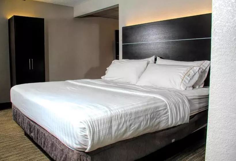 身障者適用キングサイズベッドルーム, Holiday Inn Express Rochester   Greece, An Ihg