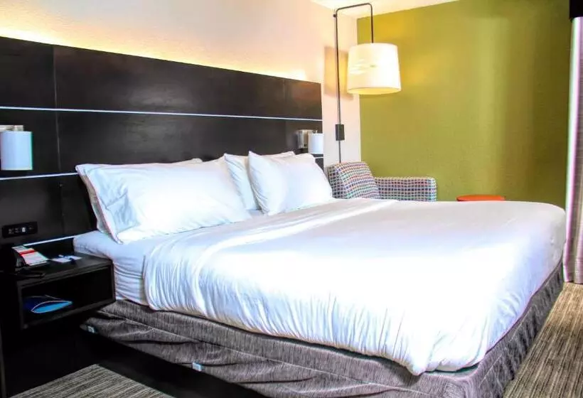 身障者適用キングサイズベッドルーム, Holiday Inn Express Rochester   Greece, An Ihg