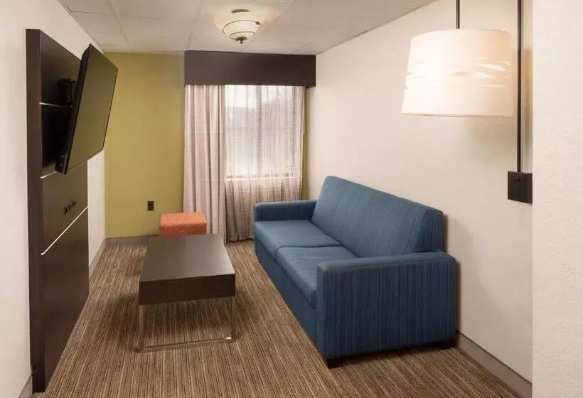 キングサイズベッドのスイートルーム, Holiday Inn Express Rochester   Greece, An Ihg