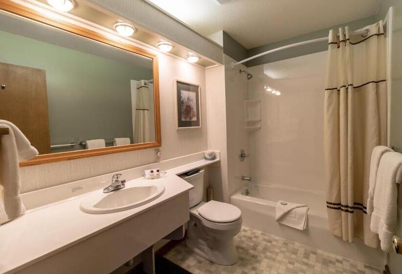 キングサイドベッドのスタンダードワンルーム, Wildwood Inn