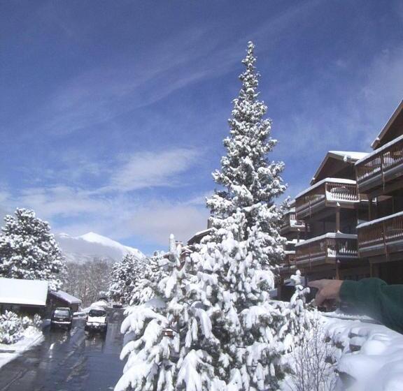 キングサイドベッドのスタンダードワンルーム, Wildwood Inn