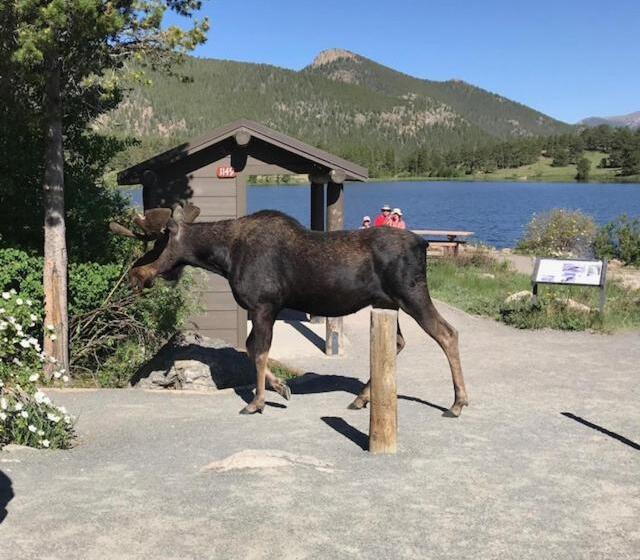 ビュー有りのスタンダードワンルーム, Wildwood Inn