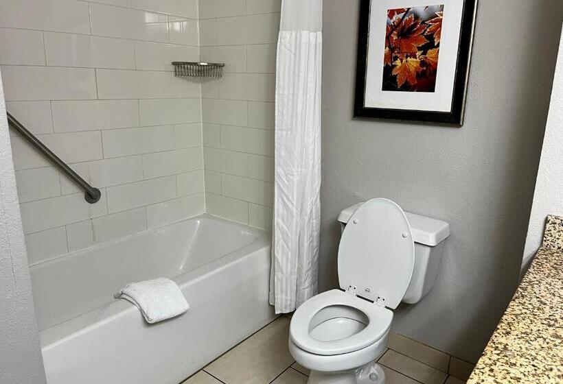 디럭스 룸, Branson Hillside