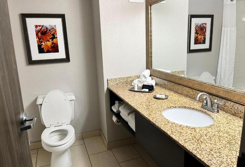 디럭스 룸, Branson Hillside