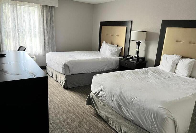 디럭스 룸, Branson Hillside