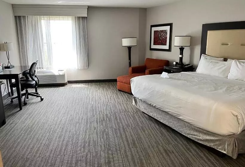 اتاق استاندارد با تخت بزرگ, Branson Hillside
