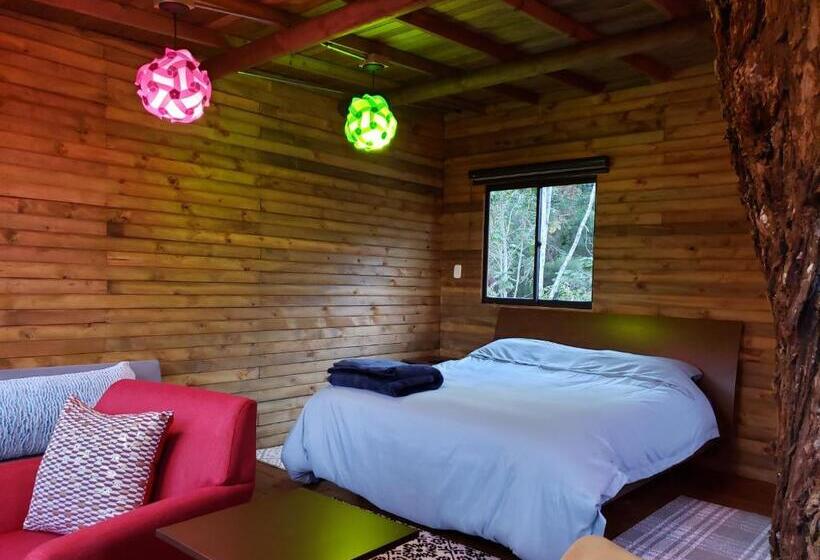 Бунгало Deluxe, La Zenerchi