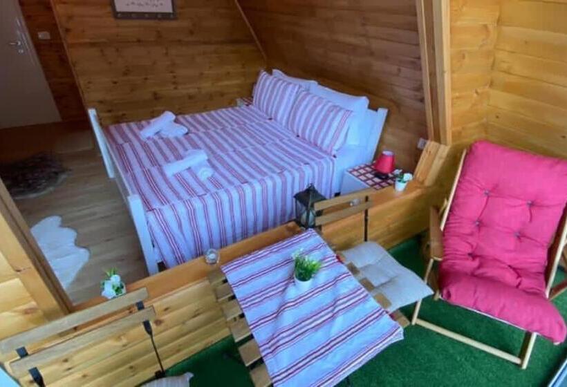 Номер Стандарт, Bujtina Miqesia