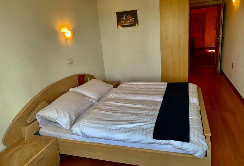 غرفة قياسية, Hôtel Lion D Or Romont