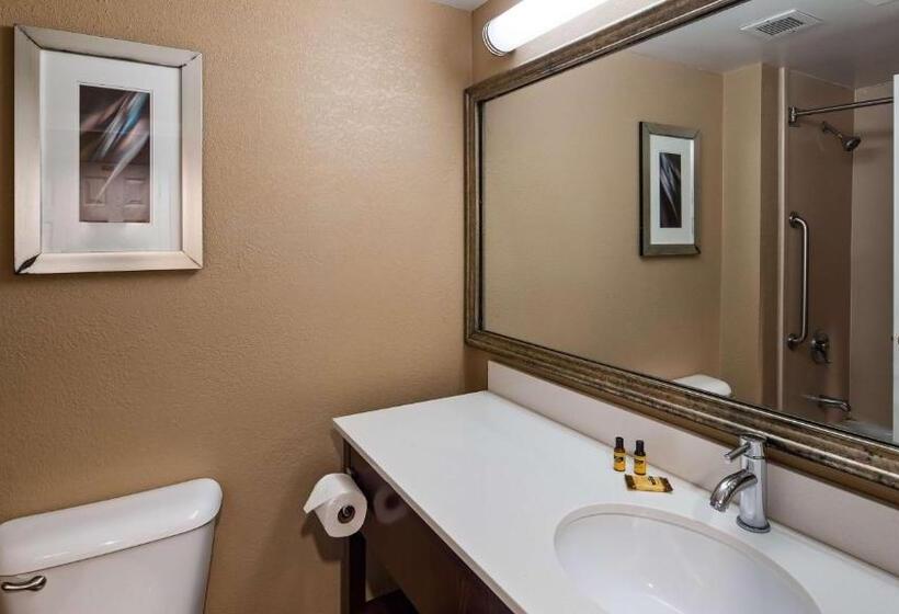 带大床的套房, Wingate By Wyndham Harrisburg Near Hershey