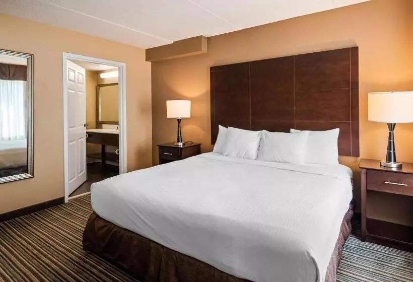 Executive-sviitti King-vuode, Wingate By Wyndham Harrisburg Near Hershey