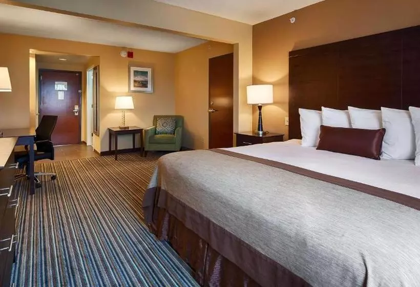 Standard-huone King-vuode, Wingate By Wyndham Harrisburg Near Hershey