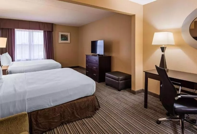 Standard-invahuone, Wingate By Wyndham Harrisburg Near Hershey