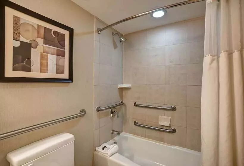 障害者適応デラックスルーム, Doubletree By Hilton Downtown Wilmington   Legal District