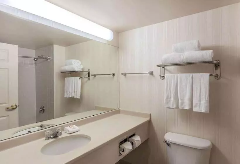 اتاق استاندارد با 2 تخت دوبل, La Quinta By Wyndham Garden City