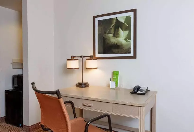 اتاق استاندارد با 2 تخت دوبل, La Quinta By Wyndham Garden City