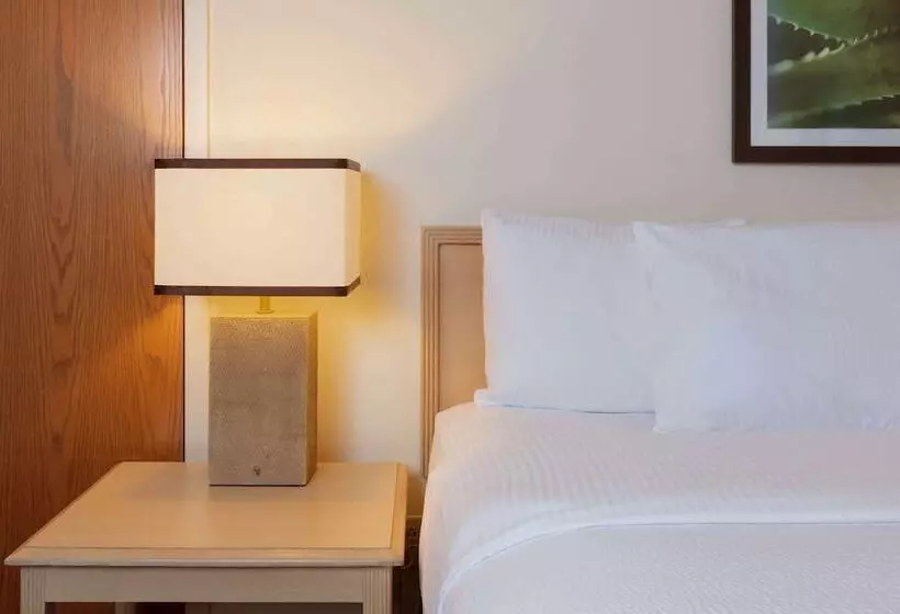 اتاق استاندارد با 2 تخت دوبل, La Quinta By Wyndham Garden City