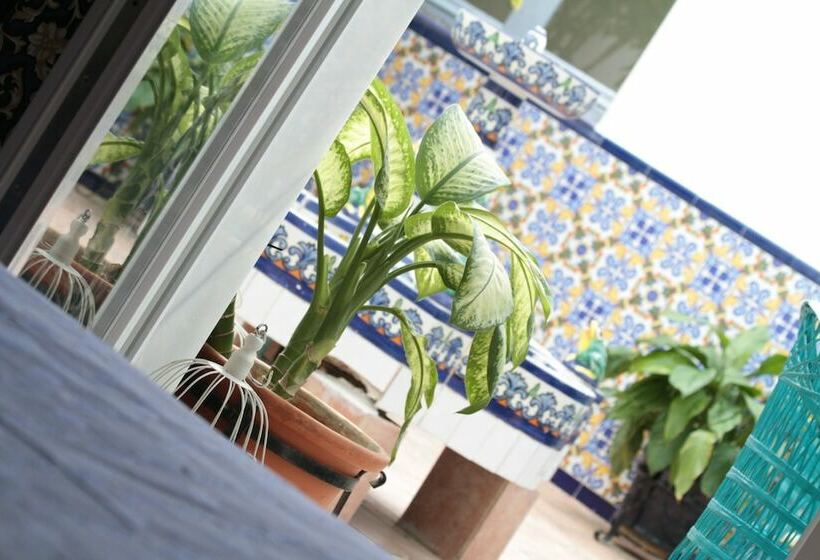 Номер Стандарт, Mediterraneo Carihuela